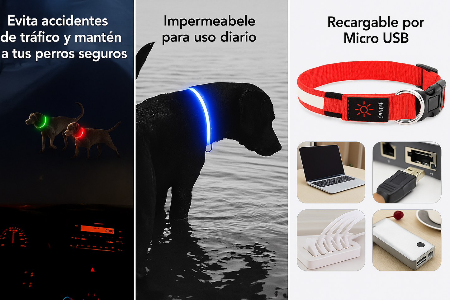 "MILUCOLUZ™ - Collar de Seguridad Nocturna 360°